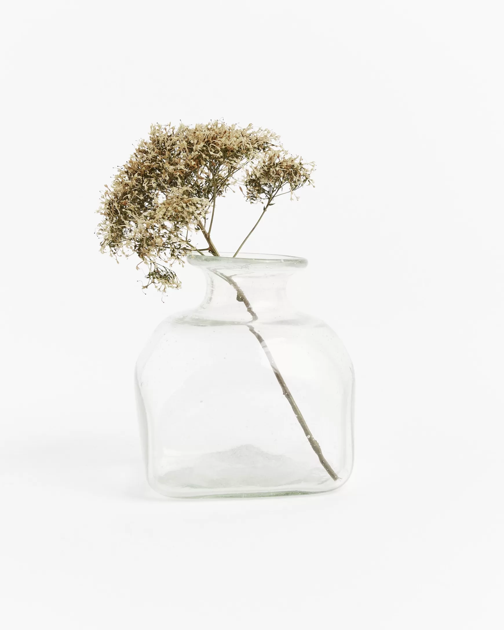 Flash Sale Mohawk General Store | | Bagno Carre In Transparent Vases