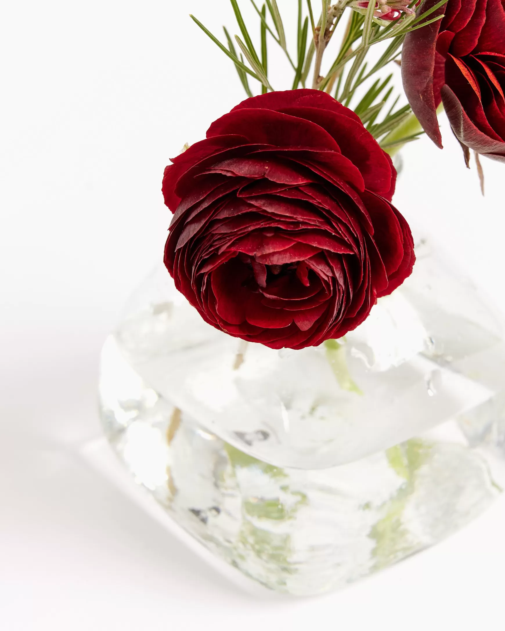 Flash Sale Mohawk General Store | | Bagno Carre In Transparent Vases